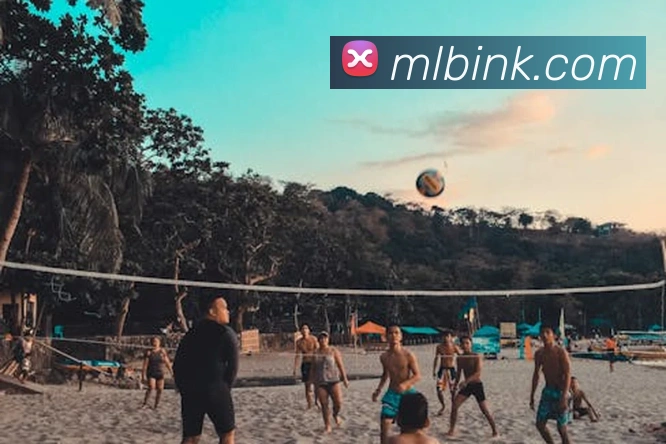 米兰milan官网平台生态图